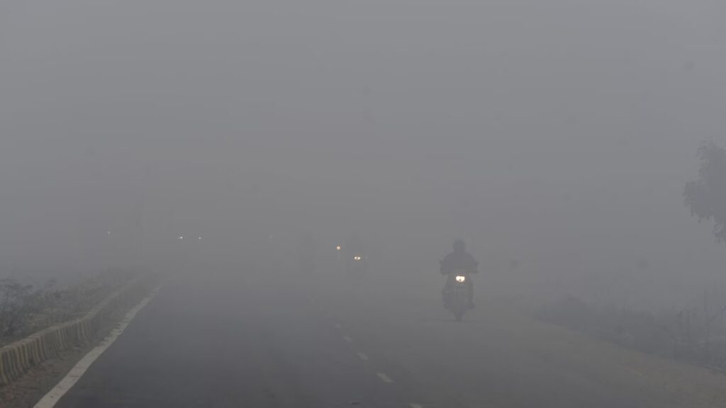 Densed fog in Delhi