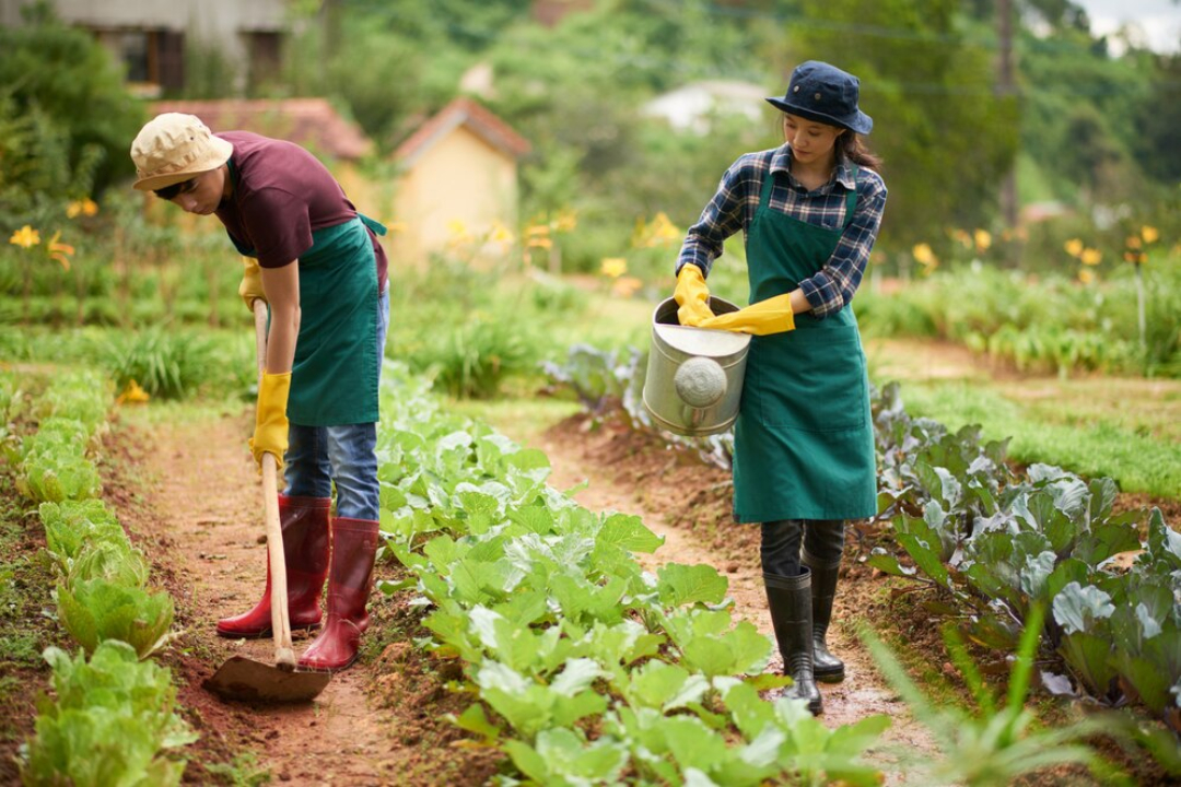 farmer