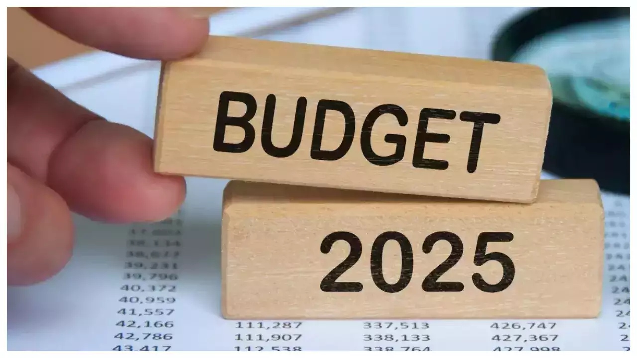 Union Budget 2025 (1)