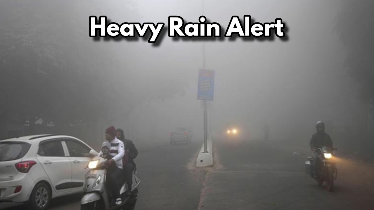 Heavy Rain Alert